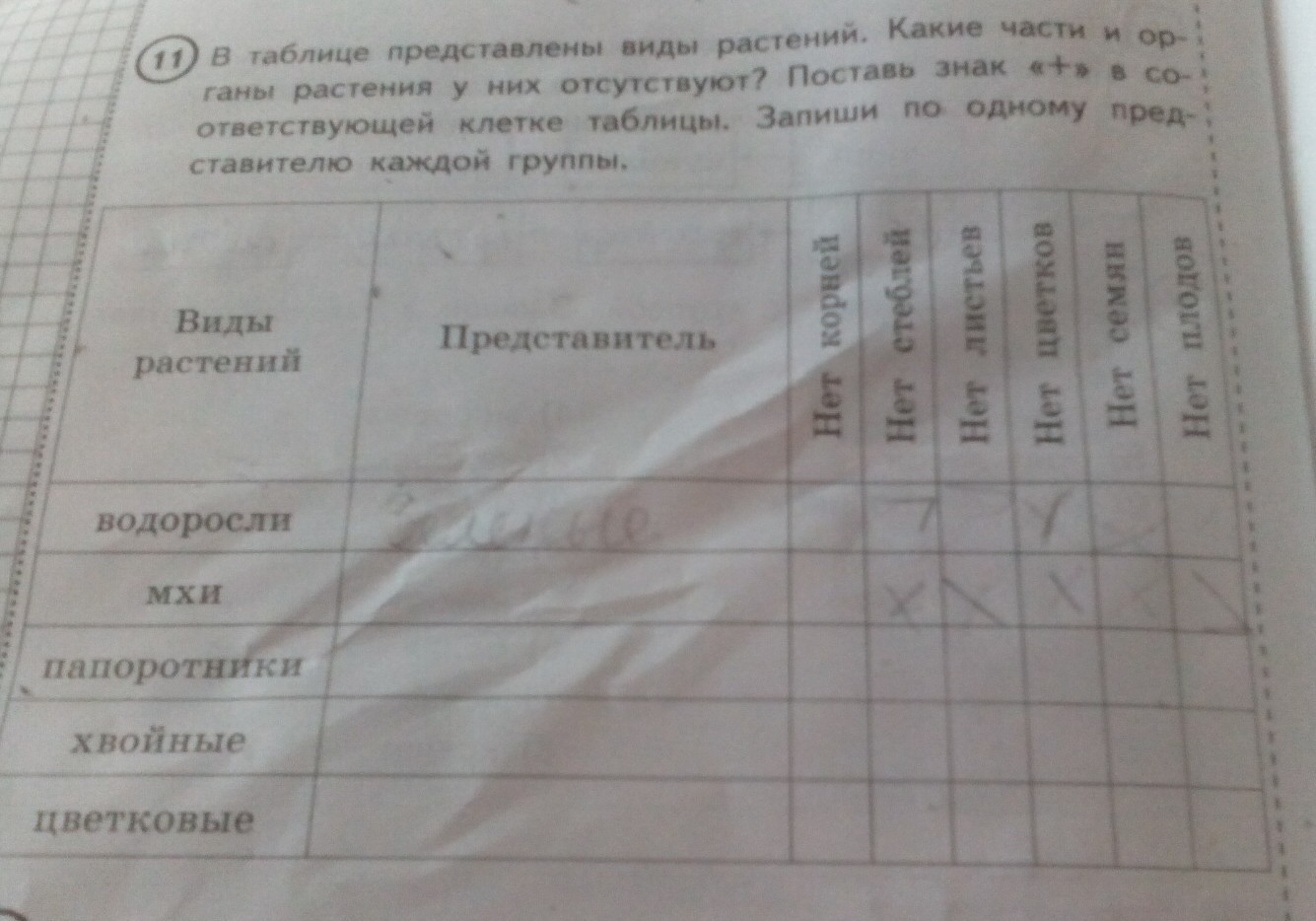 Информация в таблице представлена в виде. Представлены в таблице. В таблице 1 представлены Результаты выступления мальчиков 4-го отряда. В форме таблицы не представляют ответ.