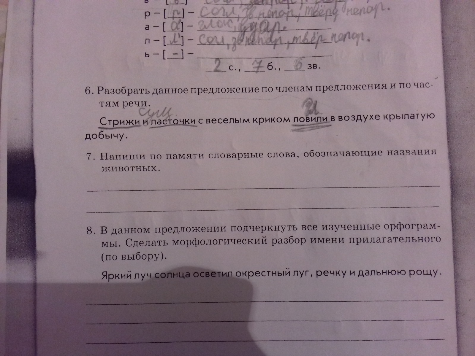 Напиши по памяти словарные слова обозначающие животных. Напиши по памяти словарные слова обозначающие названия животных.