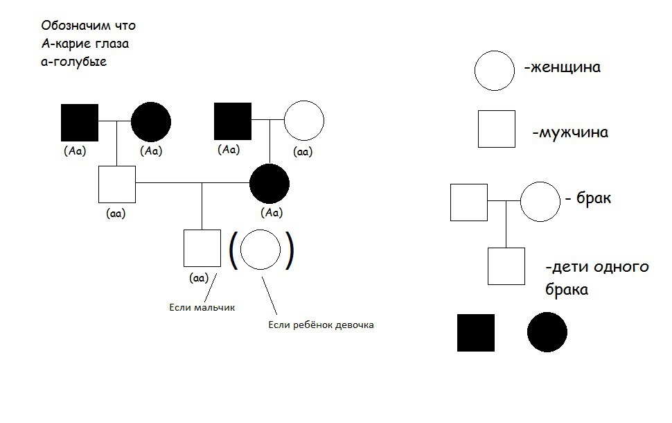 Карий доминантный. Родословная семьи с наследованием цвета глаз. Родословная семьи по цвету глаз схема. Родословная схема по генетике цвет глаз. Генеалогическое Древо по цвету глаз генетика.