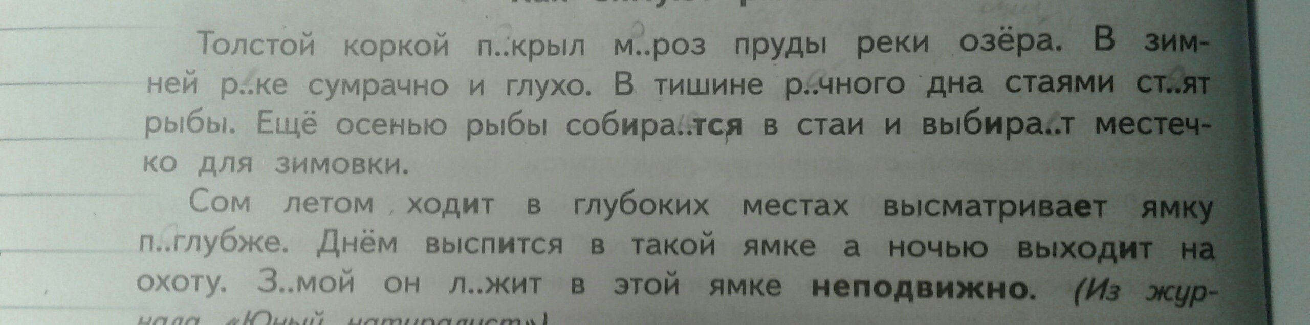 Глубокое озеро какой падеж. В какой форме употреблено прилагательное металлической линейкой