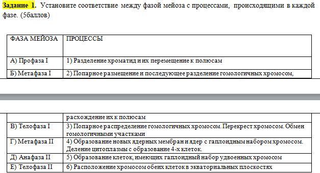 Установите соответствие между признаками и фазами мейоза обозначенными цифрами н