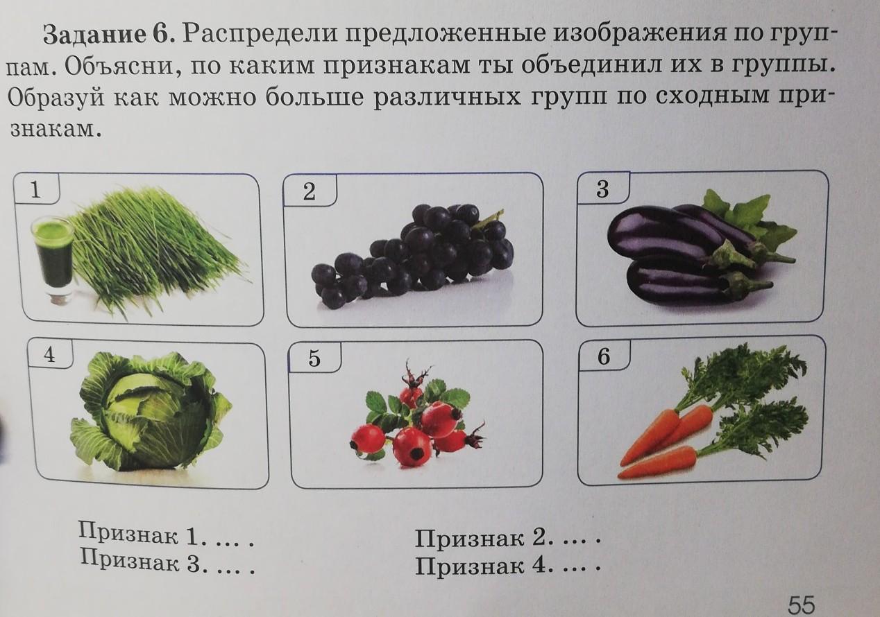 Распределите предложенные