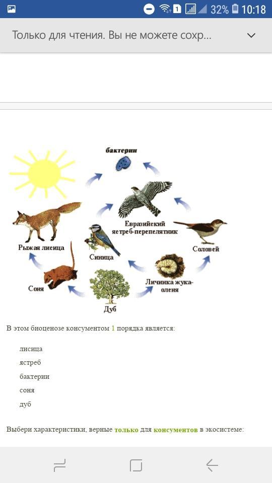 Выберите правильные ответы консументы первого порядка. В представленном на рисунке биоценозе консументом 1 порядка является. В этом биоценозе консументы первого порядка является. Ястреб это консумент 2 порядка. В биоценозе консументом 3 порядка является.