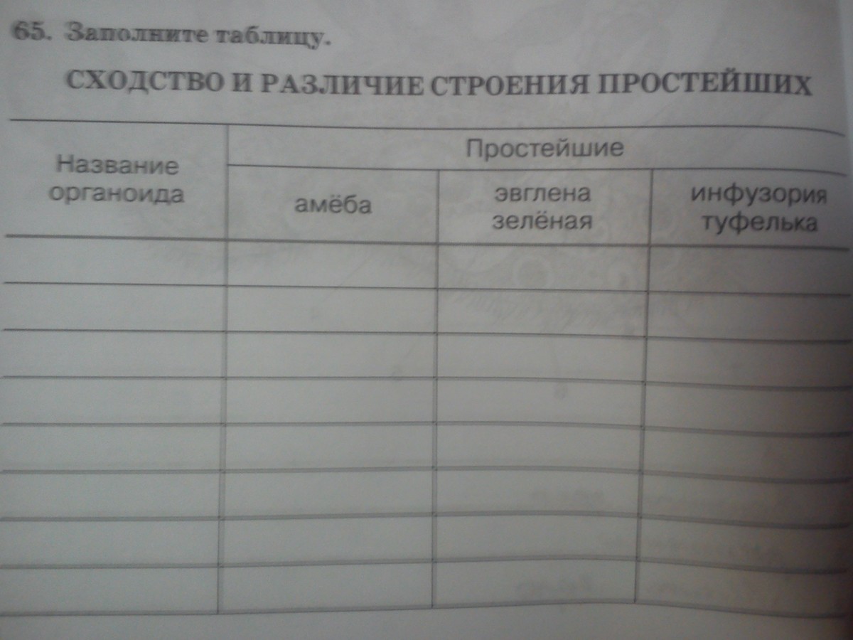 Заполнить таблицу сходство и различие