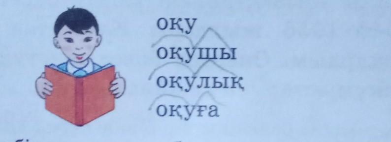 Түбірлес сөздер деп нені айтады