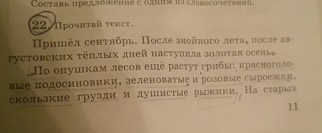 Текст после знойного лета после августовских теплых дней план