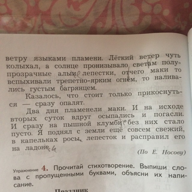 На что издали были похожи маки. Составим предложению потом. Сочинение по русскому языку живое пламя. Маки походили на зажжённые на ветру языки пламени. Причастные обороты.