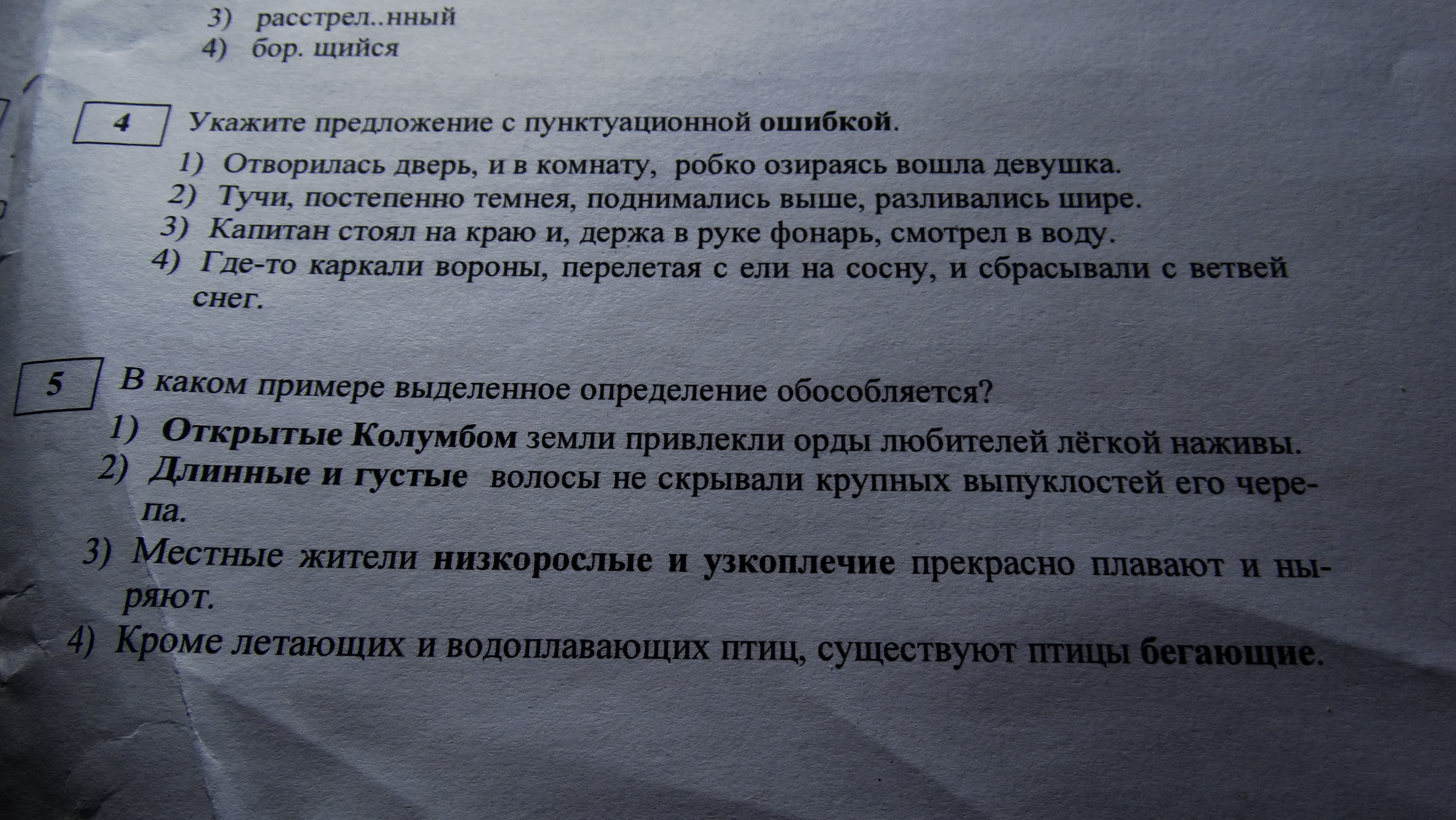 В эту минуту дверь тихо отворилась и в комнату робко озираясь вошла одна девушка