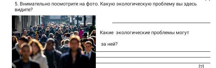 Внимательно посмотрите на фото какую экологическую проблему вы здесь видите