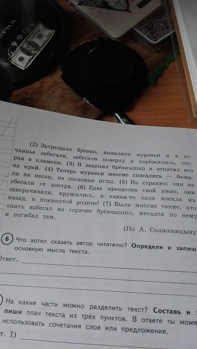 Определите и запишите основную мысль текста составьте и запишите план текста из трех пунктов