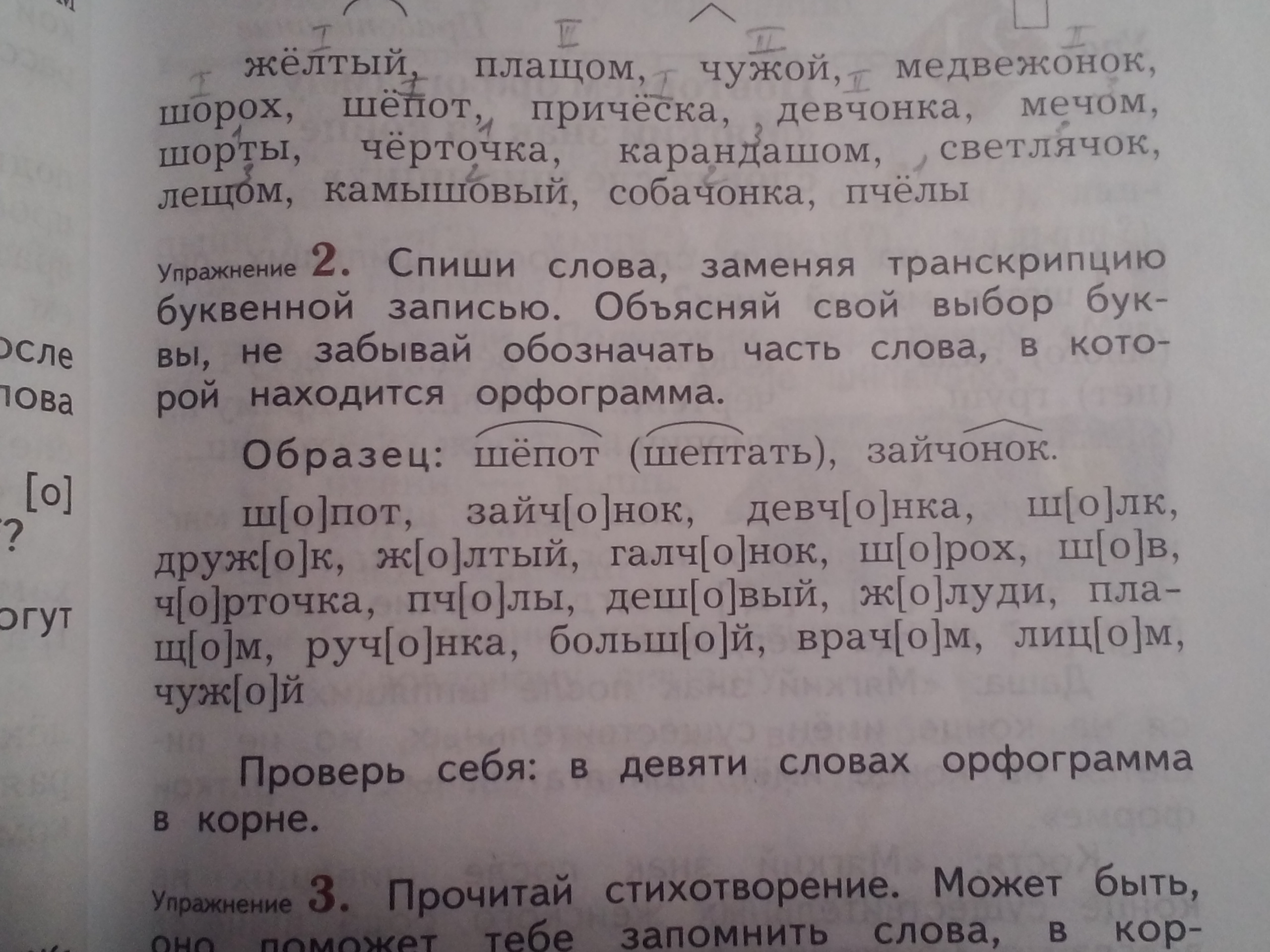 Спиши заменяя транскрипцию буквенной записью будешь впереди. Русский язык 4 класс Спиши заменяя транскрипцию. Спиши слова заменяя транскрипцию буквенной записью. Спиши слова заменяя транскрипцию буквенной записью объясняй свой. Русский язык 4 класс Спиши заменяя транскрипцию Лесной год.