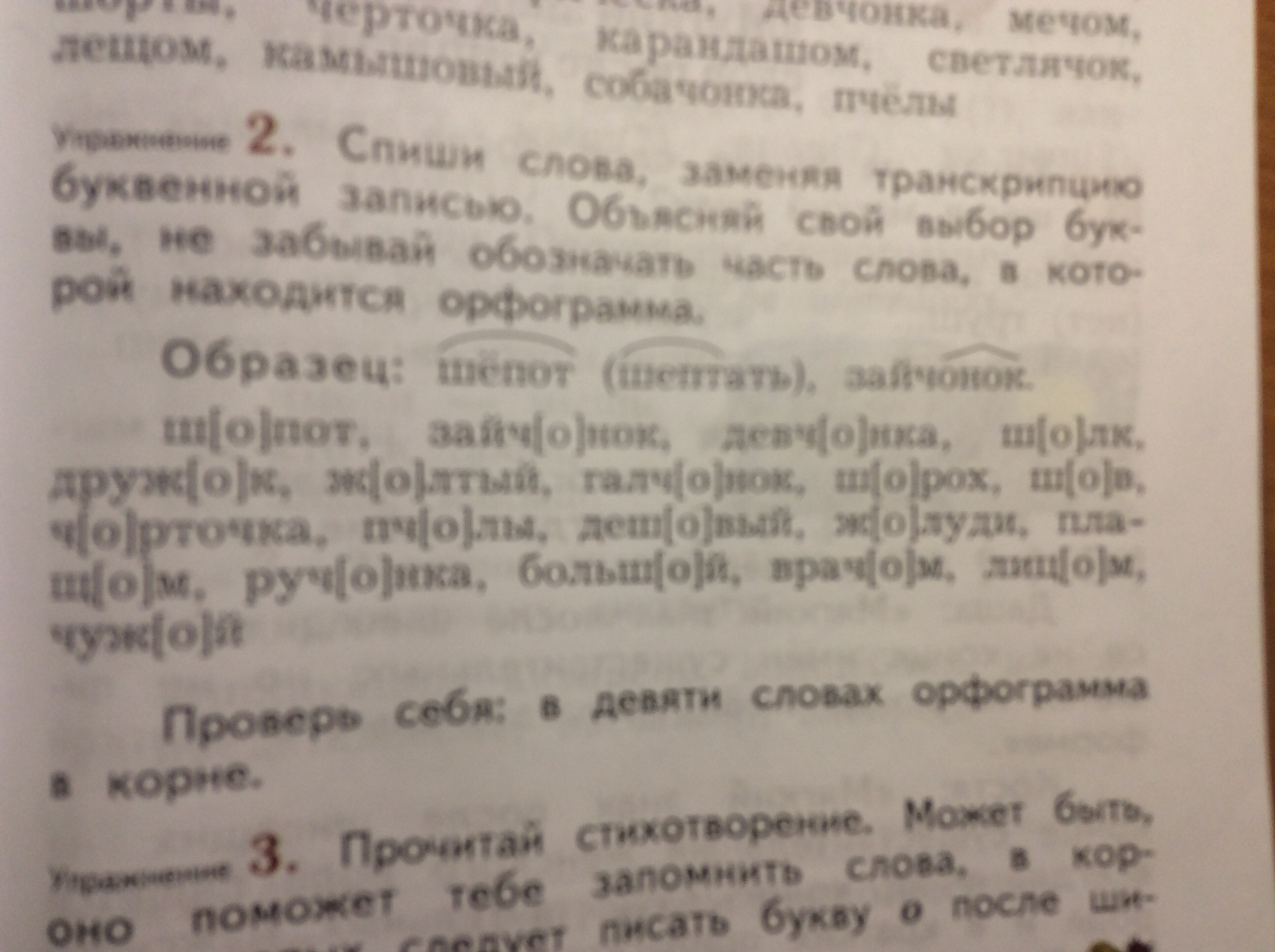 Как пишется слово спасибо или спосибо