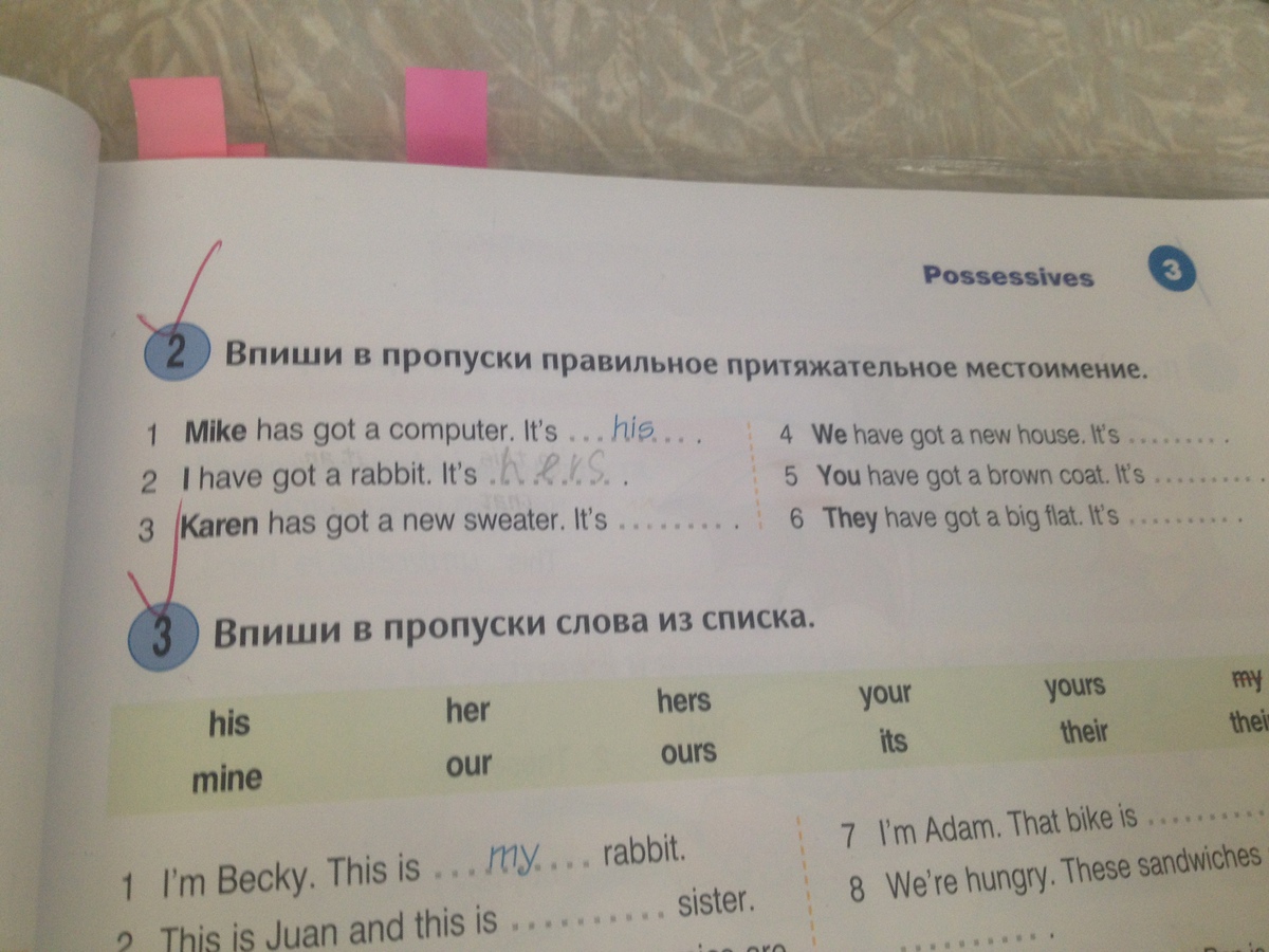 Has they got a computer. Впишите в пропуски правильное притяжательное местоимение. Впиши в пропуски правильное притяжательное местоимение. Впиши в пропуски правильное притяжательное местоимение Mike has. Впиши в пропуски правильное притяжательное местоимение Mike has got a Computer.