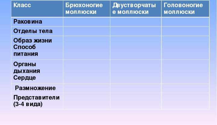 Характеристика моллюсков таблица. Таблица классы моллюсков 7 класс биология. Таблица по теме моллюски биология 7 класс. Таблица по биологии 7 класс классы моллюсков. Моллюски 7 кл биология таблица.