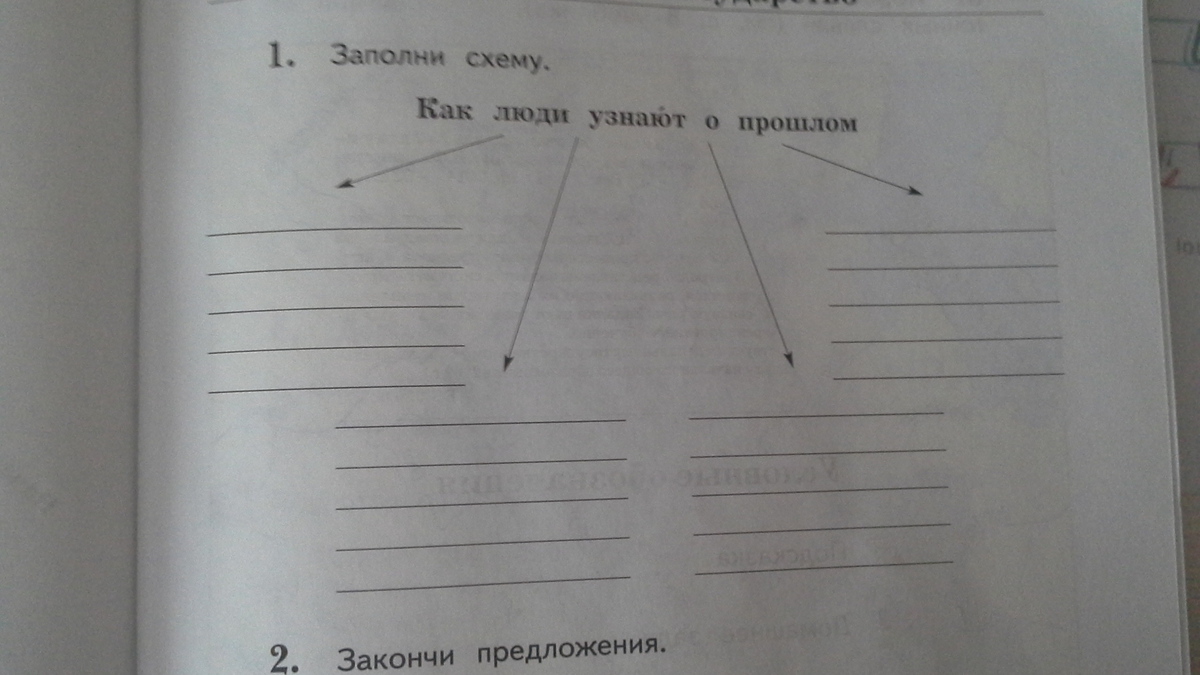 Заполни схему окружающий мир 3 класс