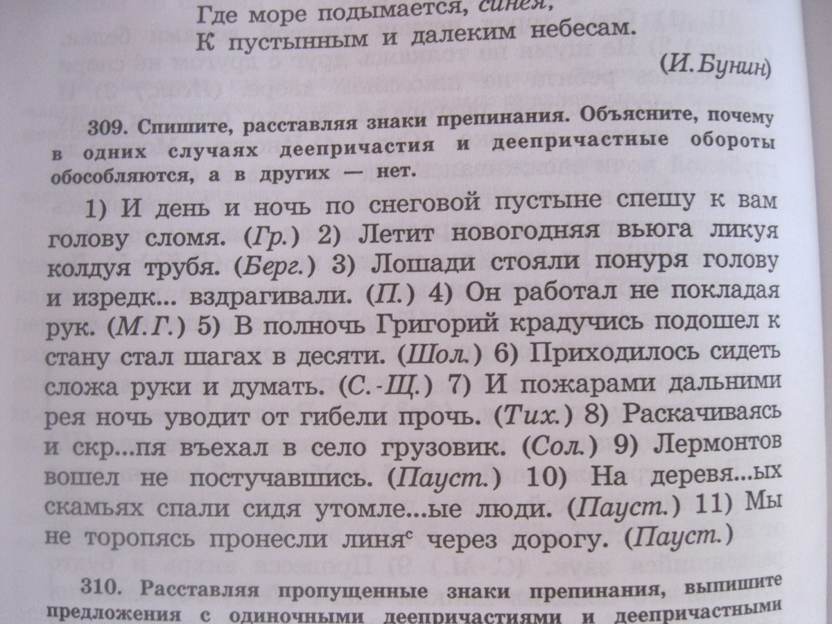 И день и ночь по снеговой пустыне спешу к вам голову сломя в комнате елены