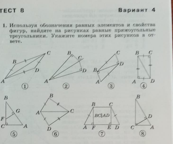 Найти равные треугольники 1 3