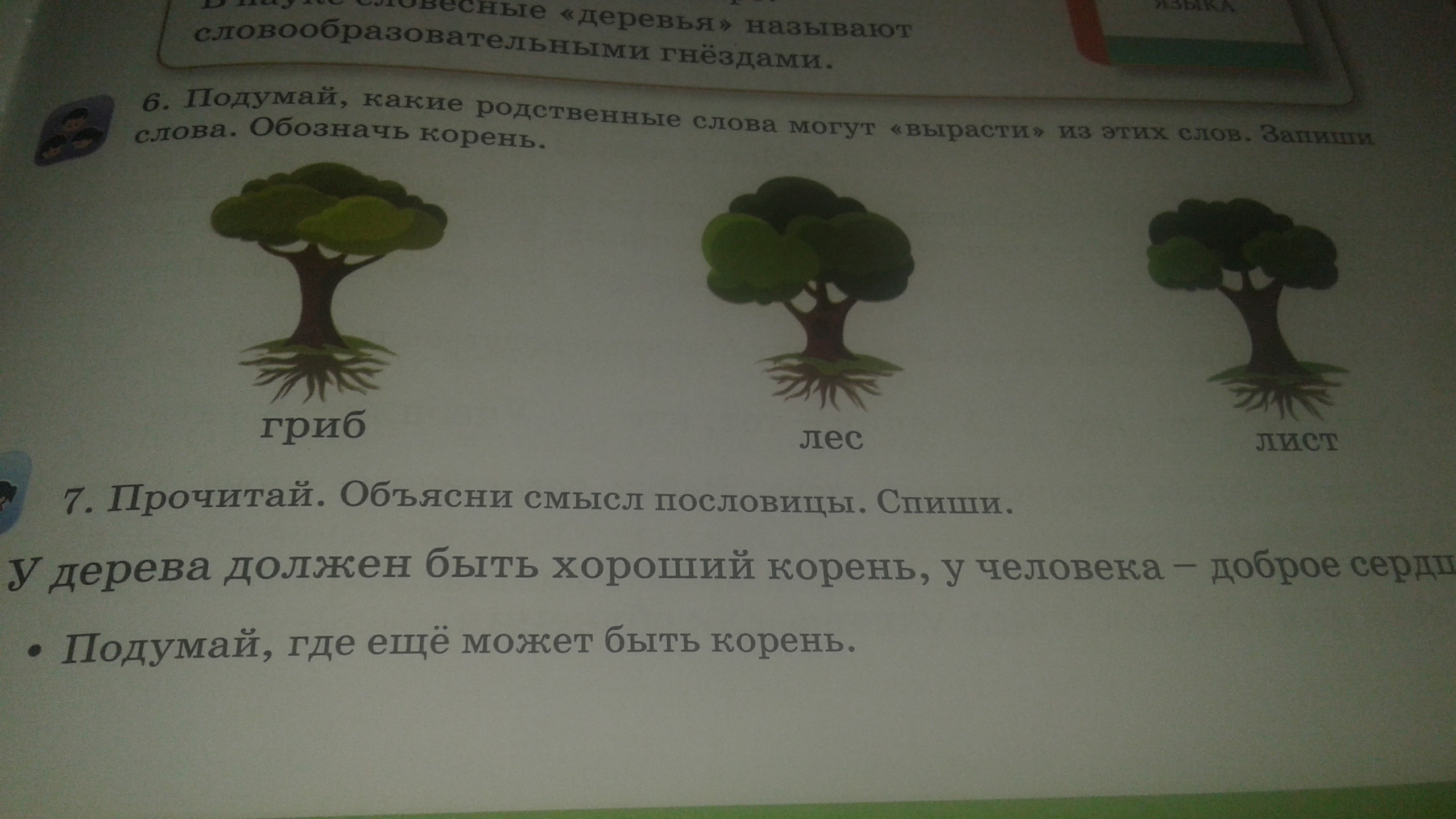 Стол и столица являются однокоренными словами. Родственные слова. Однокоренные родственные слова 2 класс. Родственные слова с корнем гриб. Гриб однокоренные слова.
