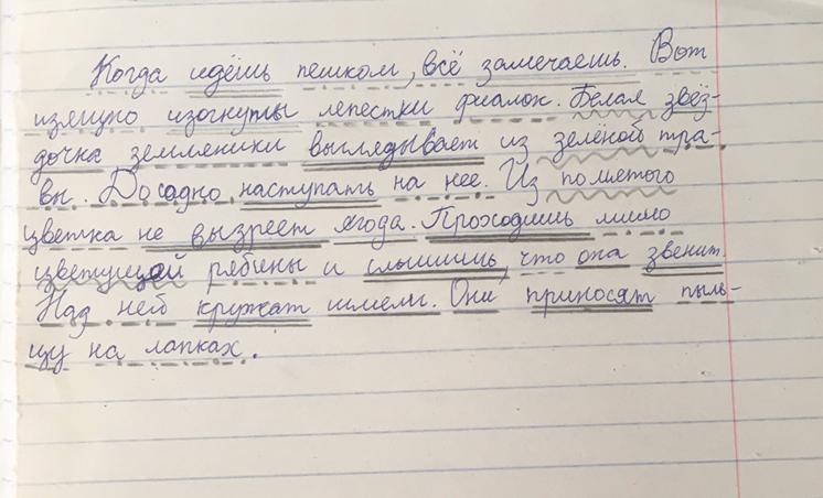 Помогать разбор. Педагоги настоял о том чтобы ученик выучил ДЗ разбор по членам. Разобрать по членам мальчик учится на отлично.