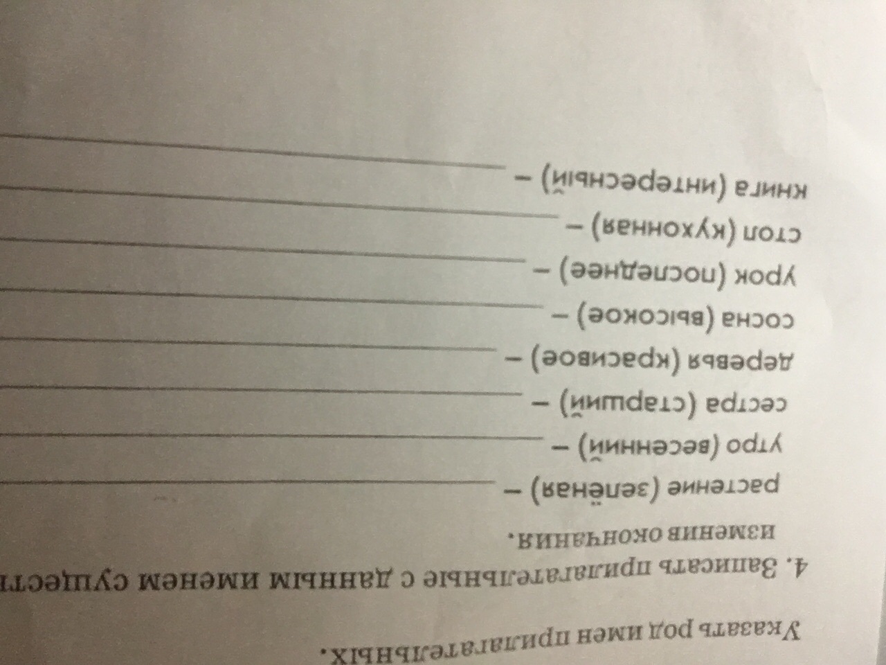 Запишите прилагательное. Прилагательные в растениях. Всё про имя прилагательное 5 класс. Род прилагательных.