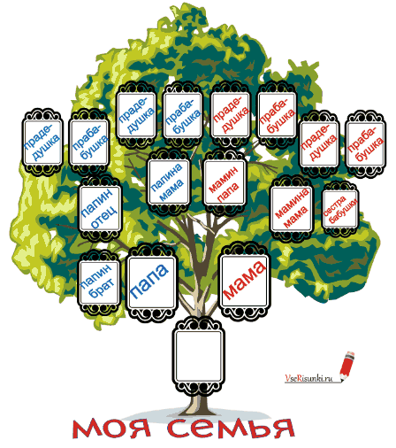 Как нарисовать древо семьи 6 класс