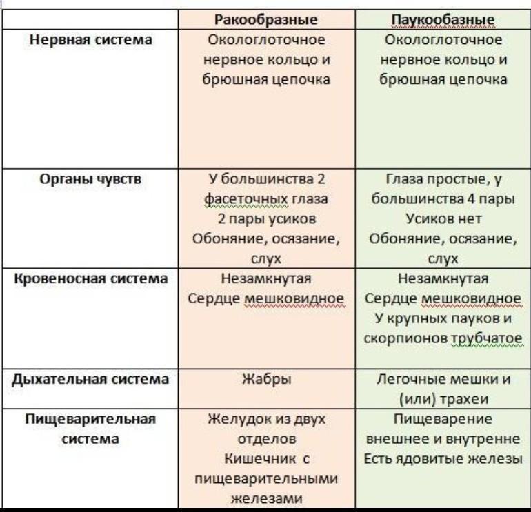 Составьте таблицу сравнительная характеристика ракообразных и пауков