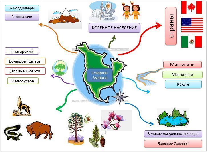 Ментальная карта по географии 6 класс