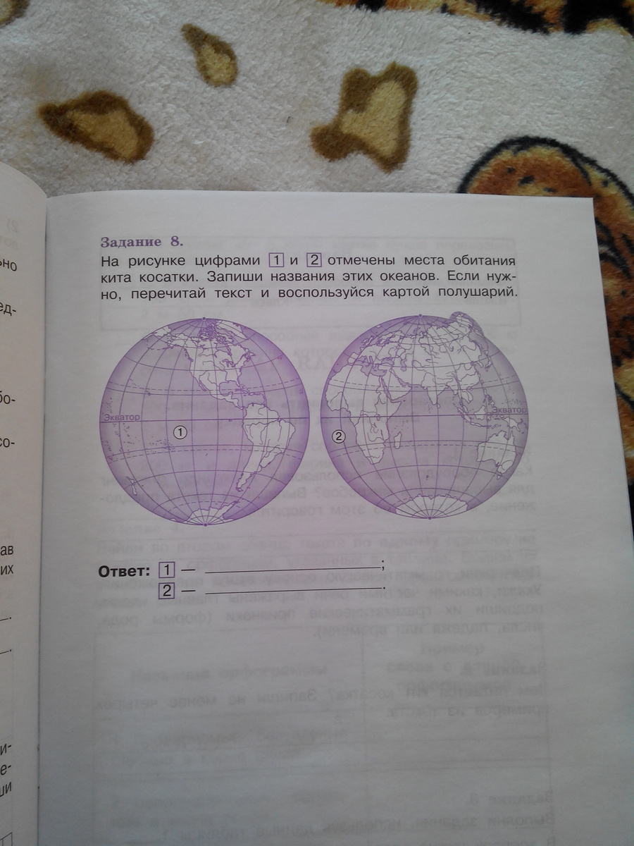 На рисунке цифрами 1 и 2 отмечены места обитания кита орки