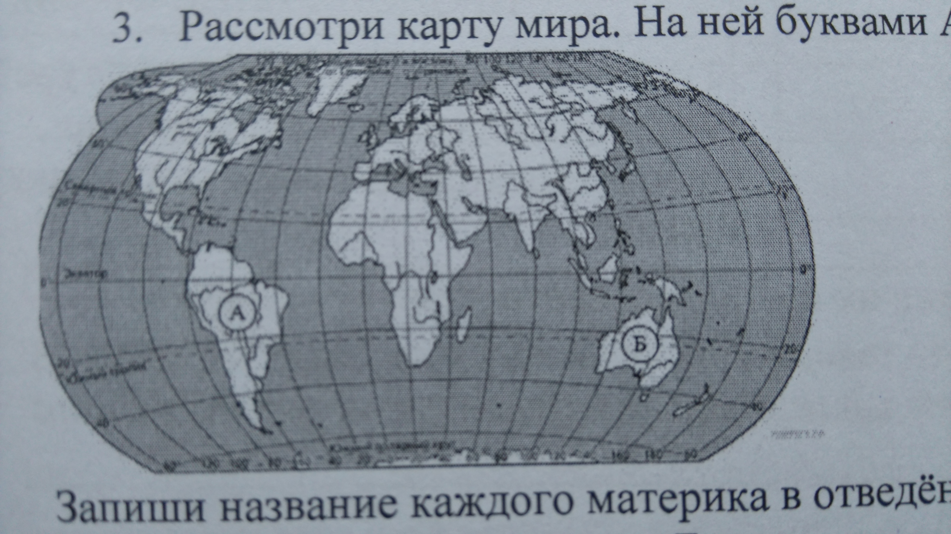 На рисунке цифрами 1 и 2 отмечены места обитания кита орки