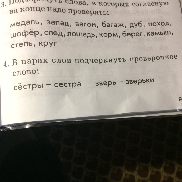 Надо конца. Проверочное слово к слову сестра. Сестра проверочное слово. Зверей проверочное слово. Сестра проверочное слово к нему.