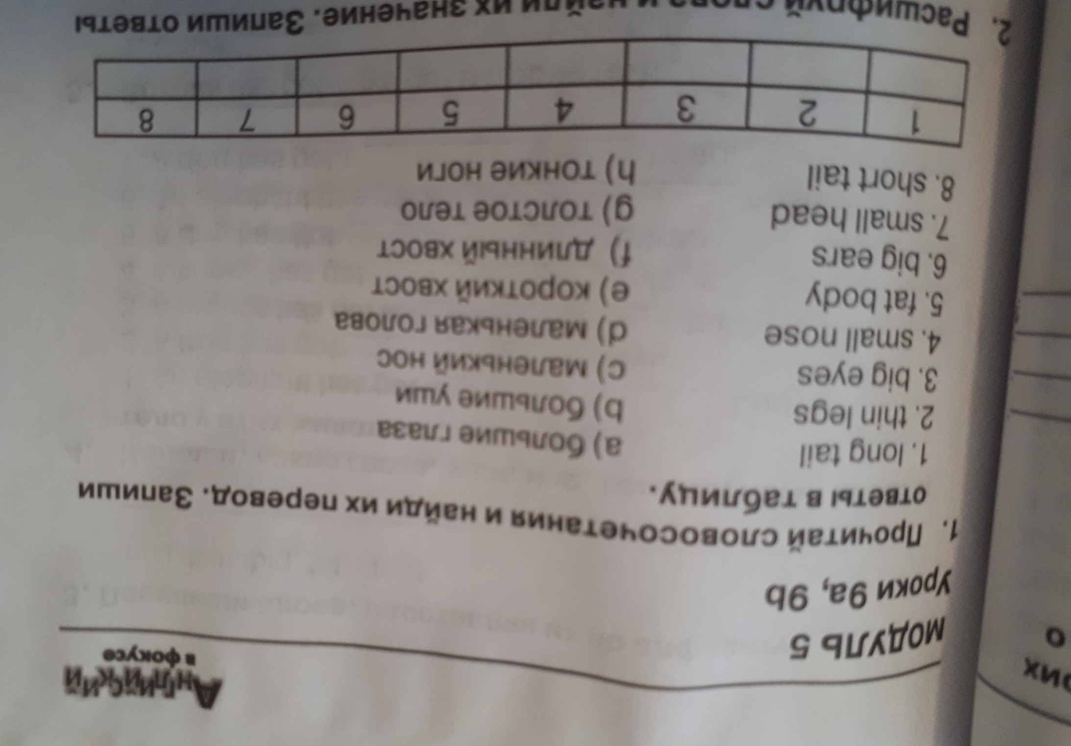 Прочитай словосочетания запиши. Прочитайте словосочетания Найдите и запишите ответ в таблицу. Перевод запиши ответы в таблицу. Прочитай словосочетания и Найди их перевод. Прочитай словосочетания и Найди их перевод запиши ответы в таблицу.