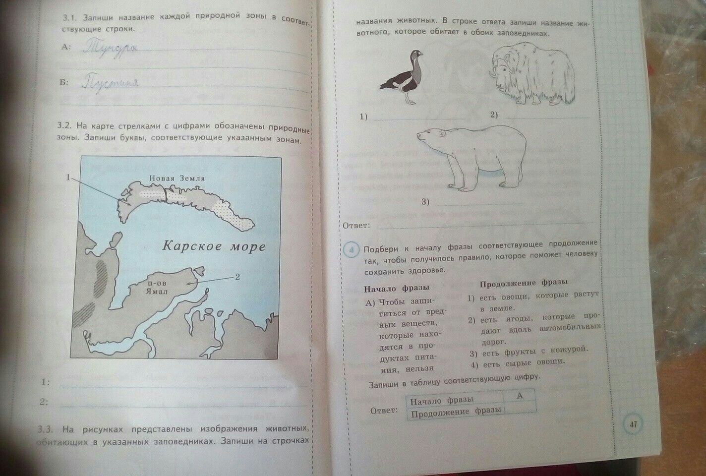 Записать название региона в котором ты живешь. Добычу запишите ответ. На рисунках представлены изображения животных. Запиши название каждой природной зоны с ответами. Узнай как.
