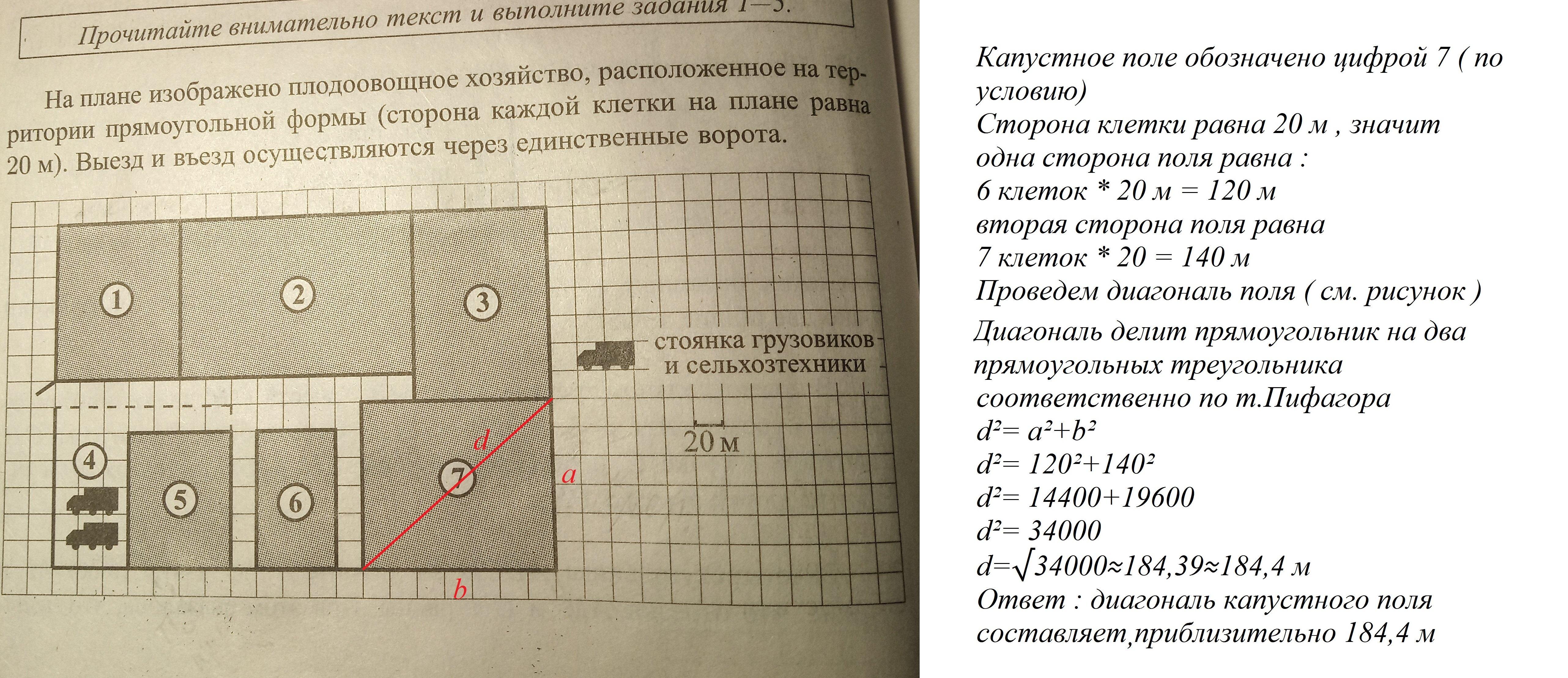 Найди площадь занятой. Найдите суммарную площадь. На плане изображено плодоовощное хозяйство. Найдите суммарную площадь участков занятых под сельскохозяйственные. Найдите суммарную длину.