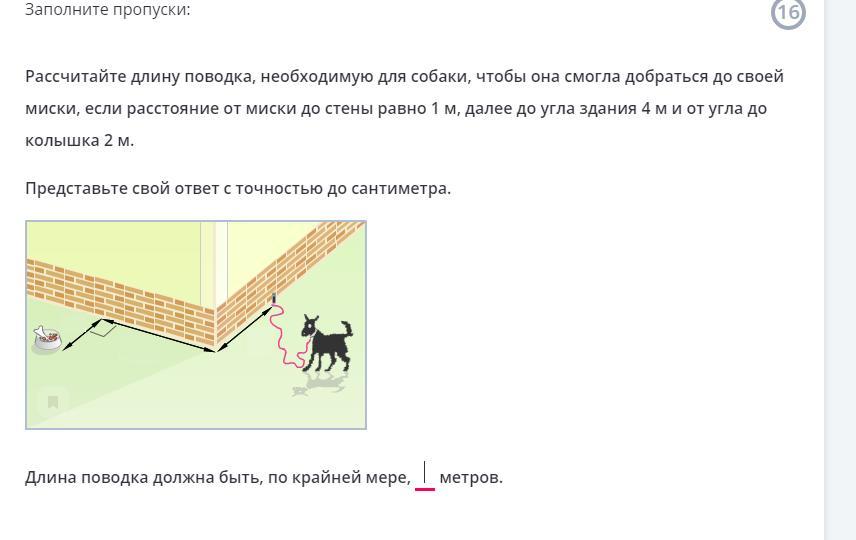 Стены равен. Минимальная длина поводка для собак.