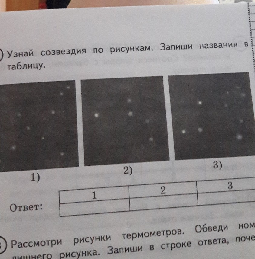 Узнай растение по рисунку запиши название в строке ответа