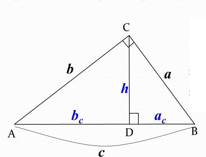 Высота прямоугольного треугольника abc. АС В прямоугольном треугольнике. 3 Высоты в прямоугольном треугольнике. CD высота треугольника. Прямоугольный треугольник с катетами а и б.