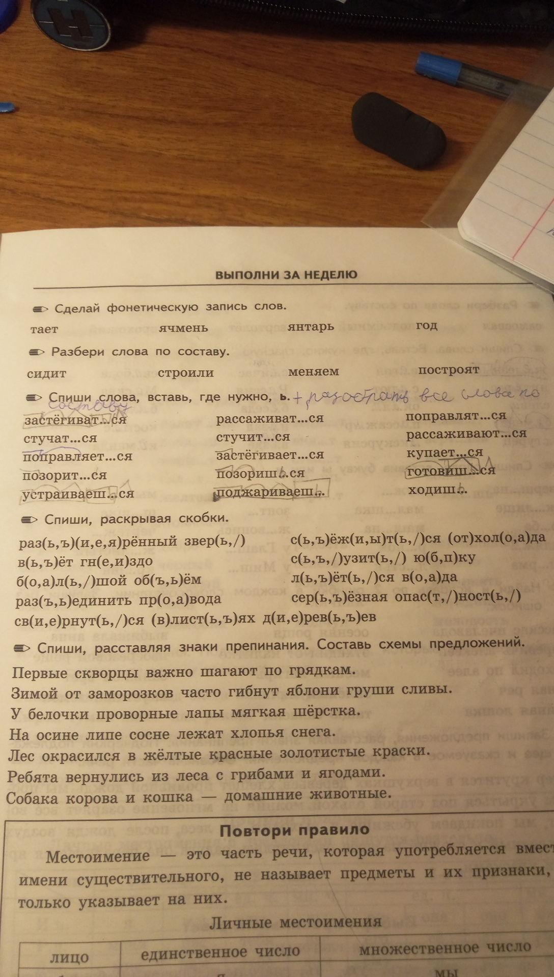 Первые скворцы важно шагают по грядкам составить схему предложения