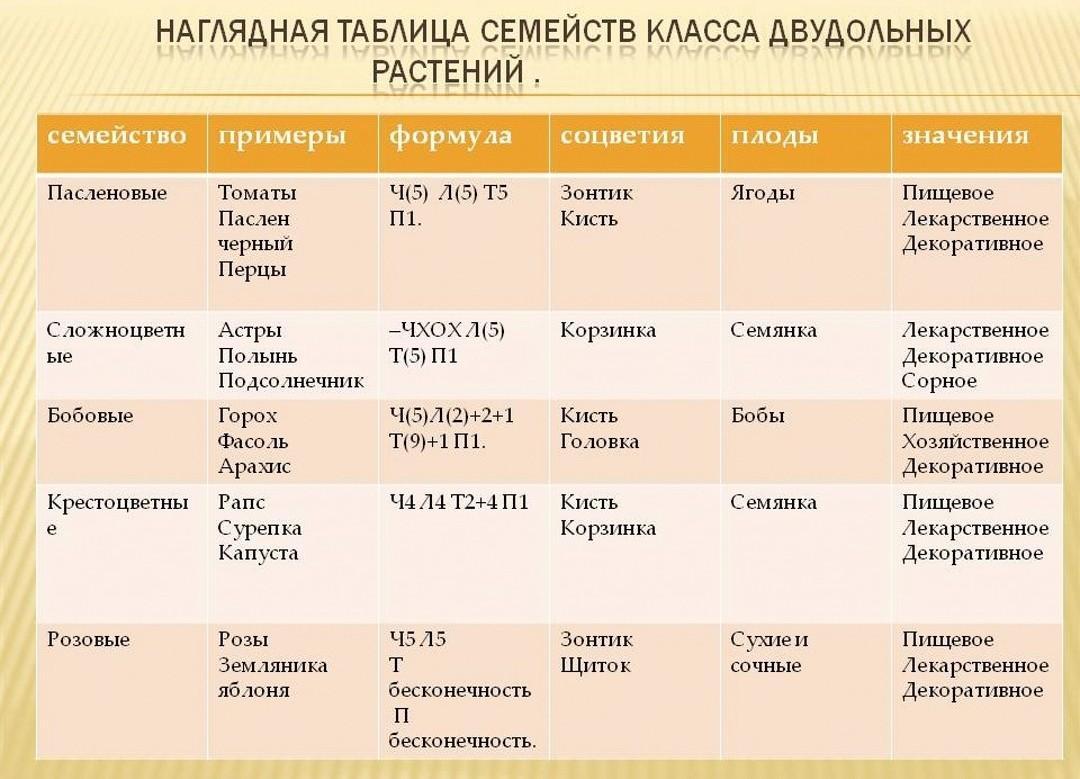 Биология двудольные тест. Таблица по биологии 6 класс семейство двудольных растений. Семейство Однодольные таблица по биологии 6 класс. Наглядная таблица семейств класса двудольных растений. Семейство класса Однодольные растения таблица по биологии 7 класс.