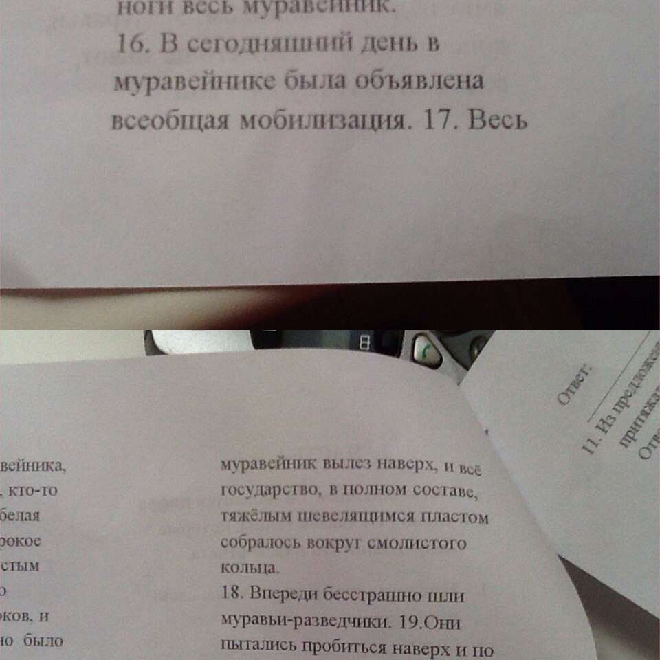 Всеобщая мобилизация. В муравейнике была объявлена всеобщая мобилизация. В муравейнике была объявлена всеобщая мобилизация. В муравейнике была объявлена всеобщая мобилизация. В муравейнике была объявлена всеобщая мобилизация сделать разбор 4.
