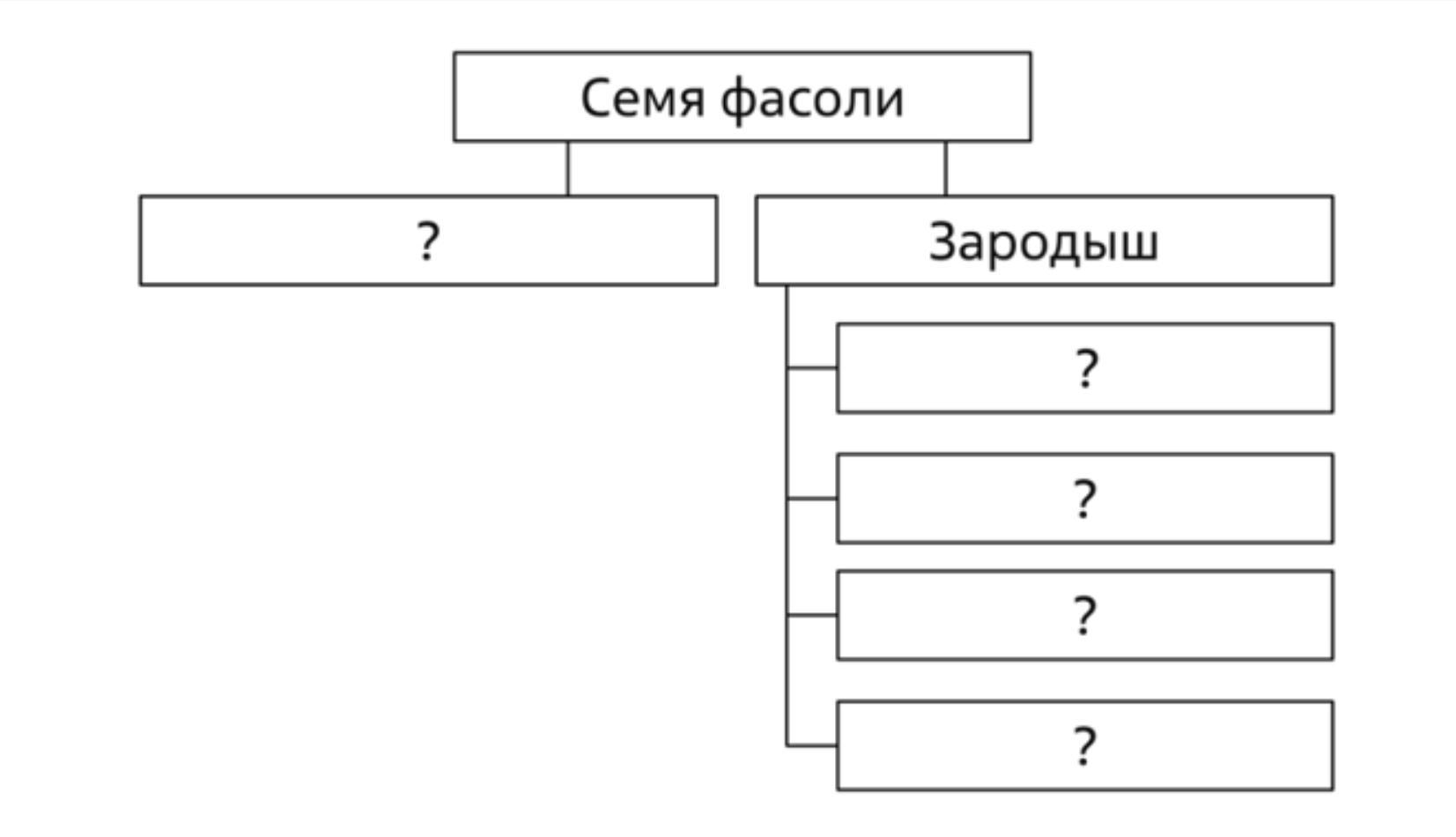 Представить в виде схемы представленной. Заполните схему. Схема родственного слияния. Заполните схему виды катетеров. Родственные связи можно представить в виде схемы ВПР 4 класс ответы.