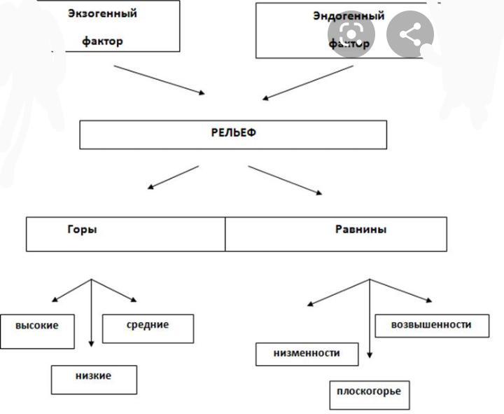 Заполните схему до конца формы рельефа