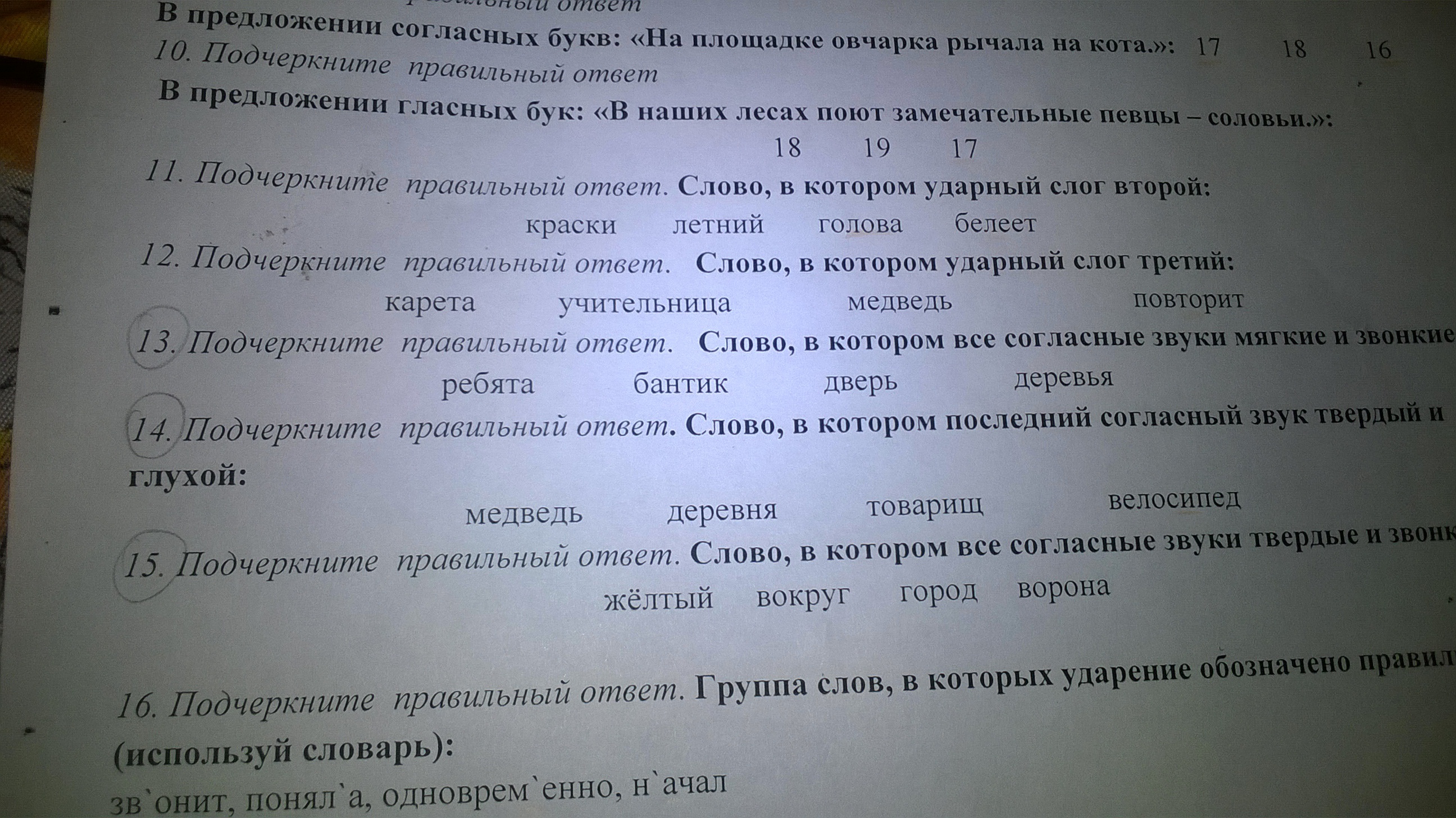 Предложение найди слово ответ. Подчеркни слова в которых все согласные звуки мягкие.