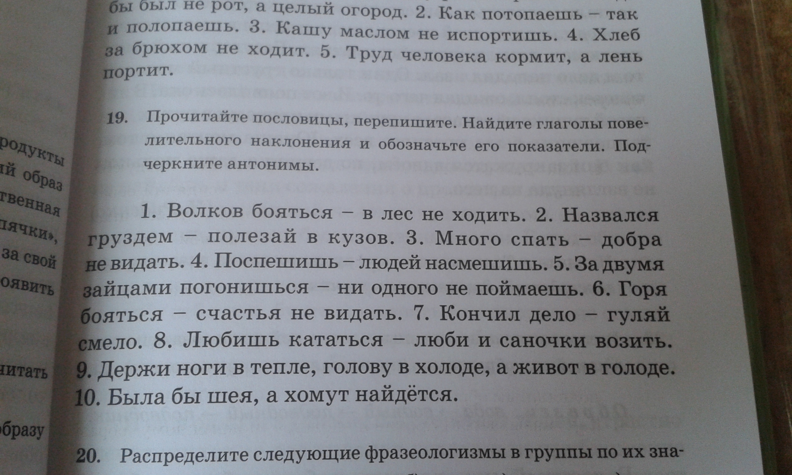 8 класс упр 19. 8 класс упр 19