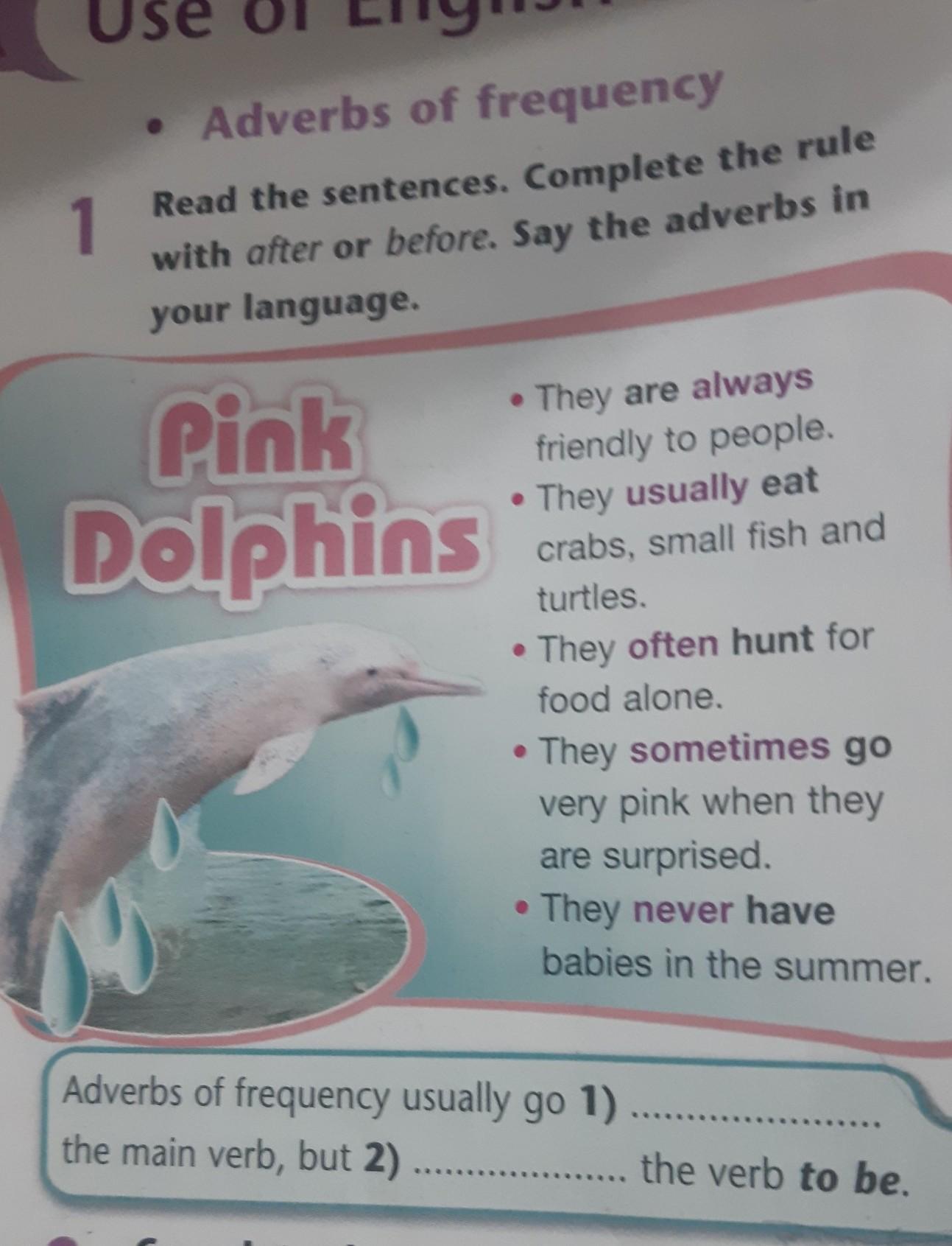 Complete the sentences with adverbs of frequency