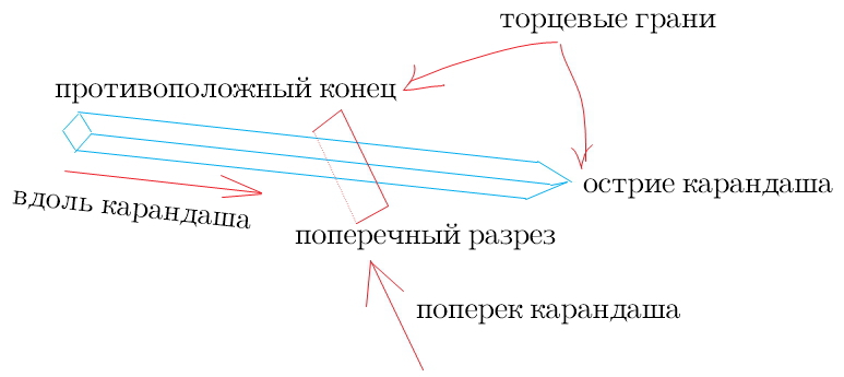 Направление вдоль. Карандаш с гранями. Торцевые грани карандаша. Сколько граней у шестигранного карандаша. Поперек и перпендикулярно.