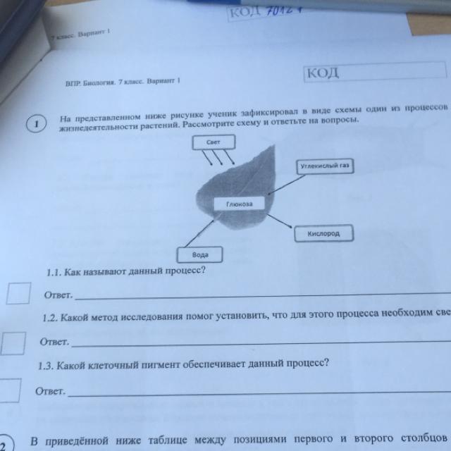 Рассмотрите представленные ниже изображения современных информационных