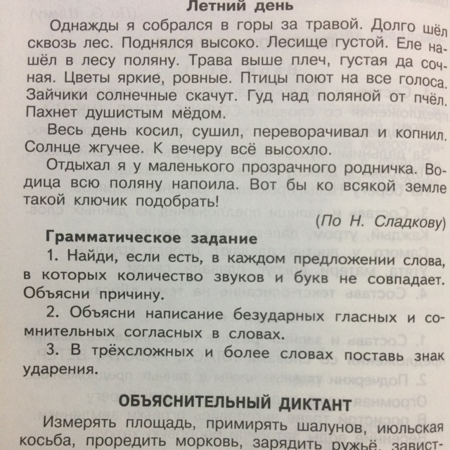 Русский язык 2 класс диктант 7. Летний диктант. Диктант летом. Диктант 6 класс. Контрольный диктант лето.