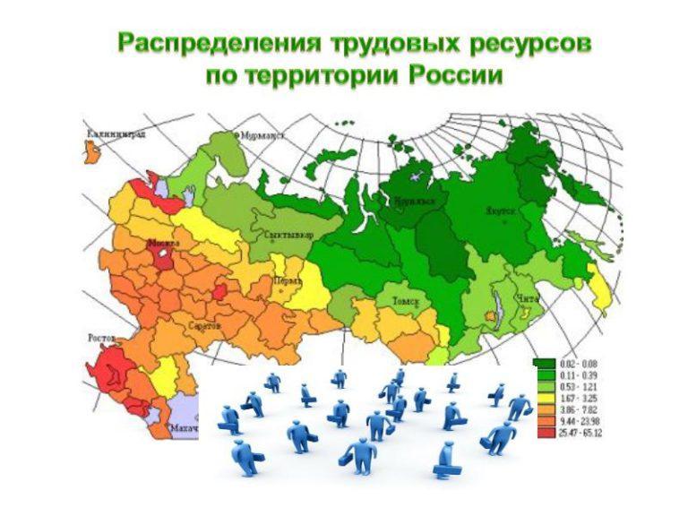 Прокомментируйте схему состав трудовых ресурсов россии на начало 2019 г