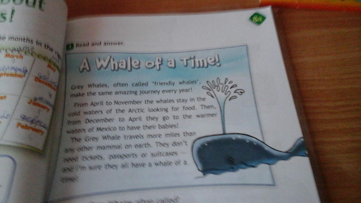 Often called friendly whales. Often called friendly whales. Grey whales often called friendly whales make the same amazing journey every year перевод. Often called friendly whales. Where are the whales from april to november перевод.