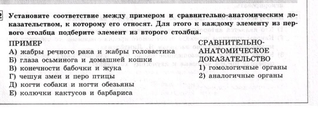 Установите соответствие между примерами и областями культуры